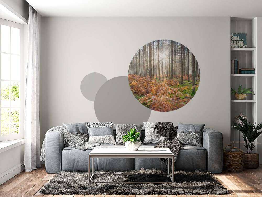 Bosque durante el amanecer