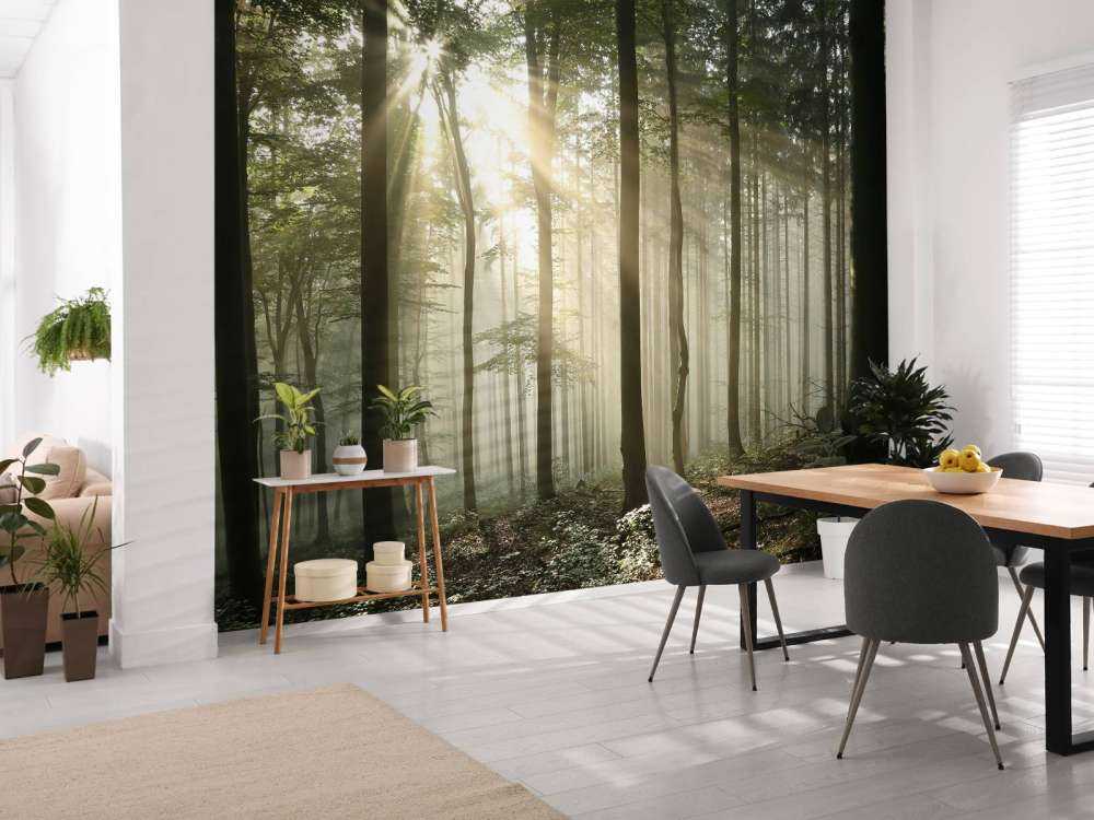 Bosque caducifolio otoñal