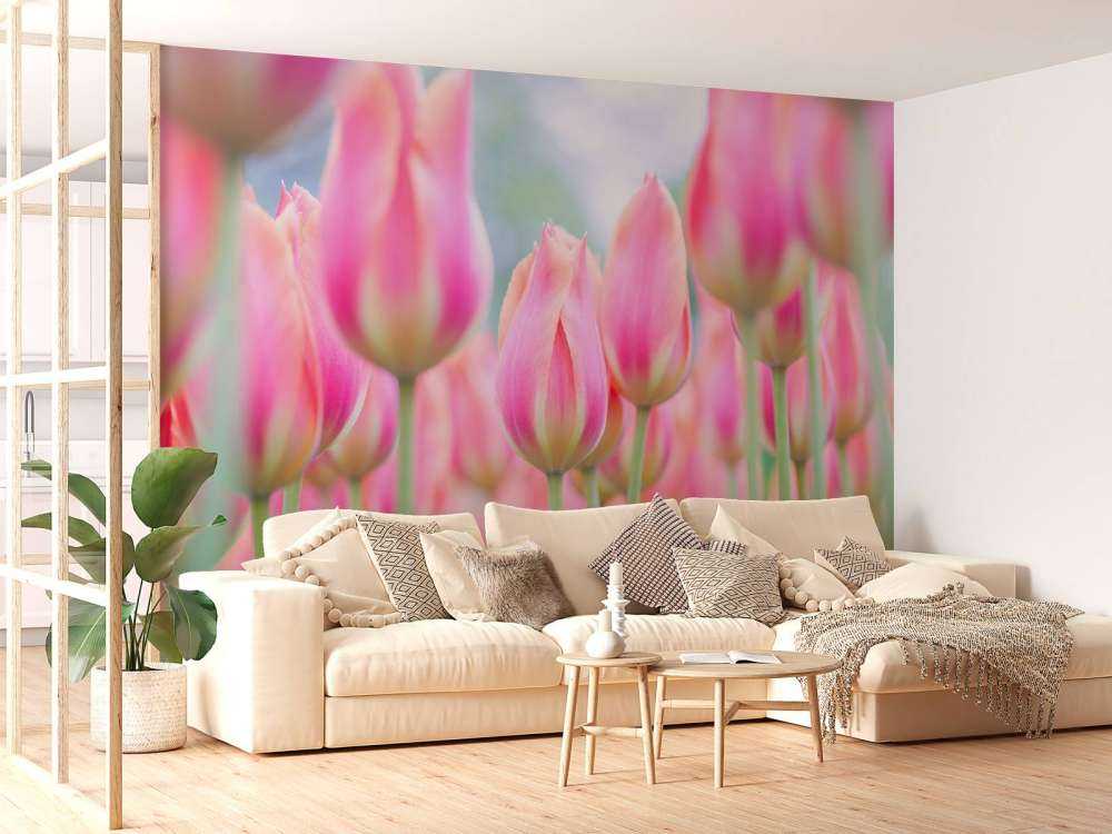 Primer plano de tulipanes rosas