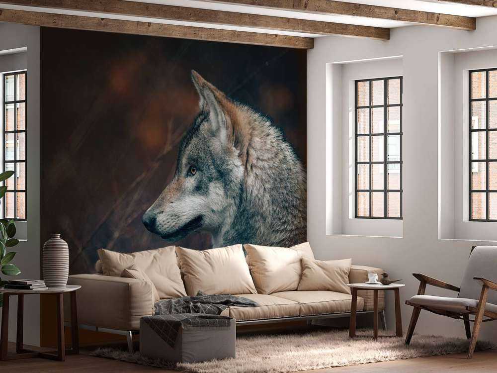 Lobo