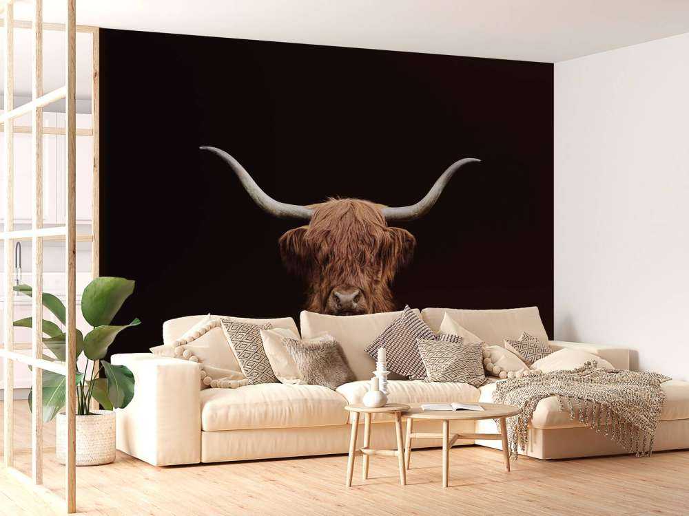 Vaca escocesa vintage