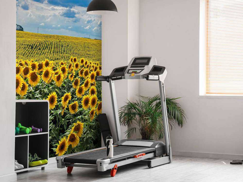 Pradera llena de girasoles