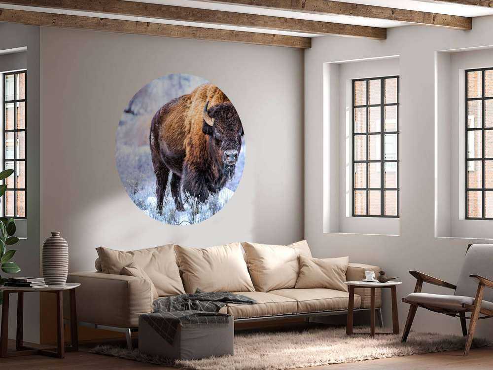 Bisonte