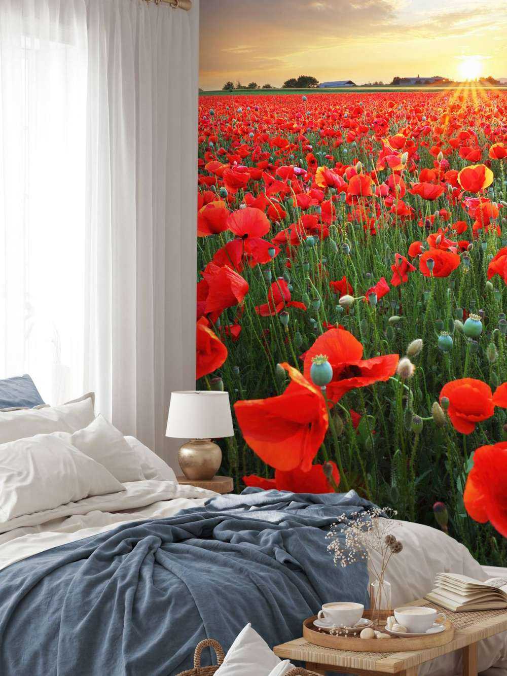 Amapolas con el sol poniente