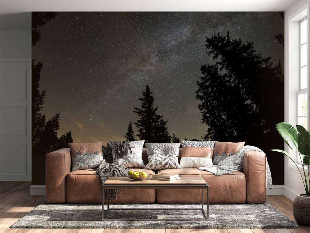 Cielo estrellado en la noche