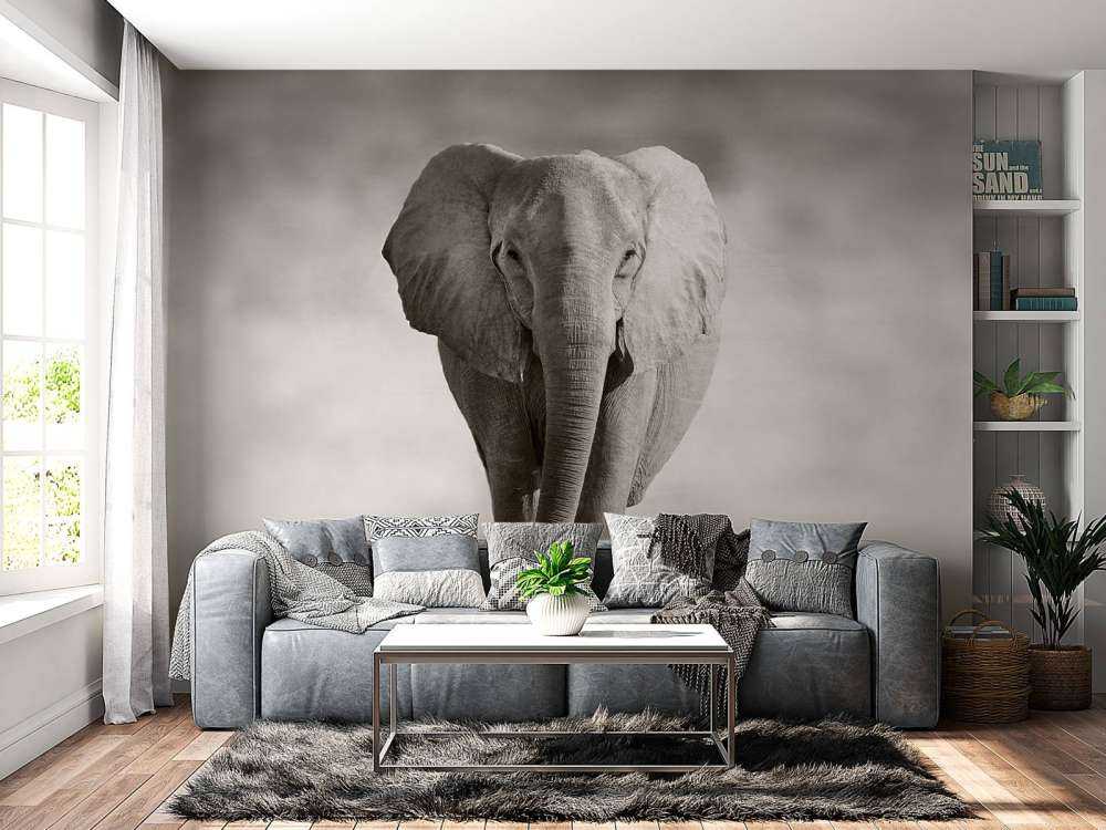 Hermoso elefante