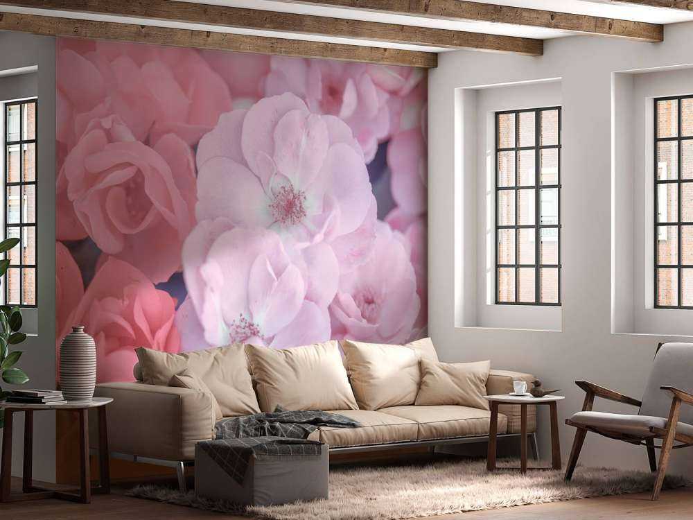 Flores clericales rosas