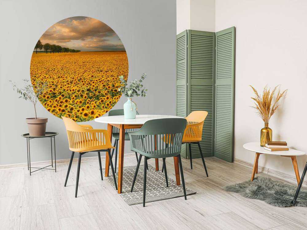 Sunflowers