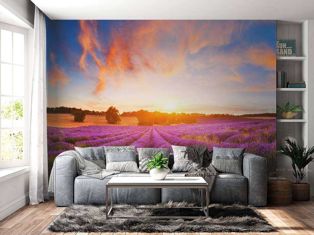 Campo de lavanda