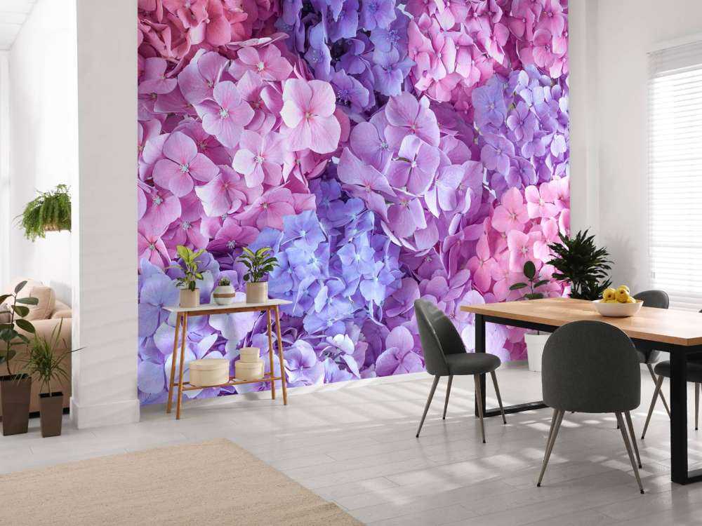 Hortensias de colores