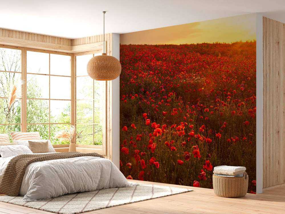 Amapolas en una colina