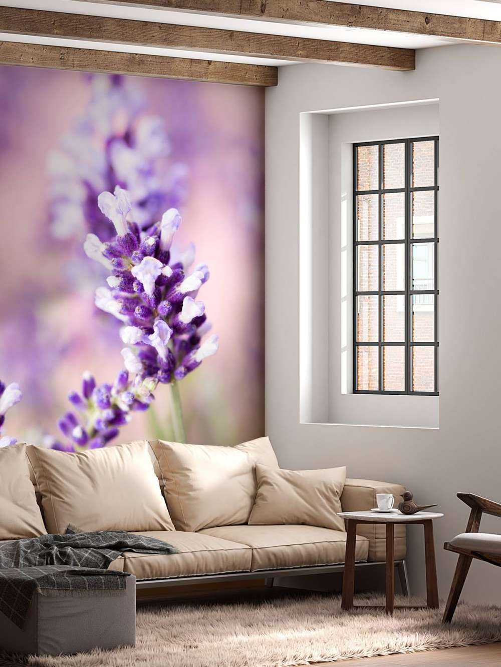 Flor de lavanda