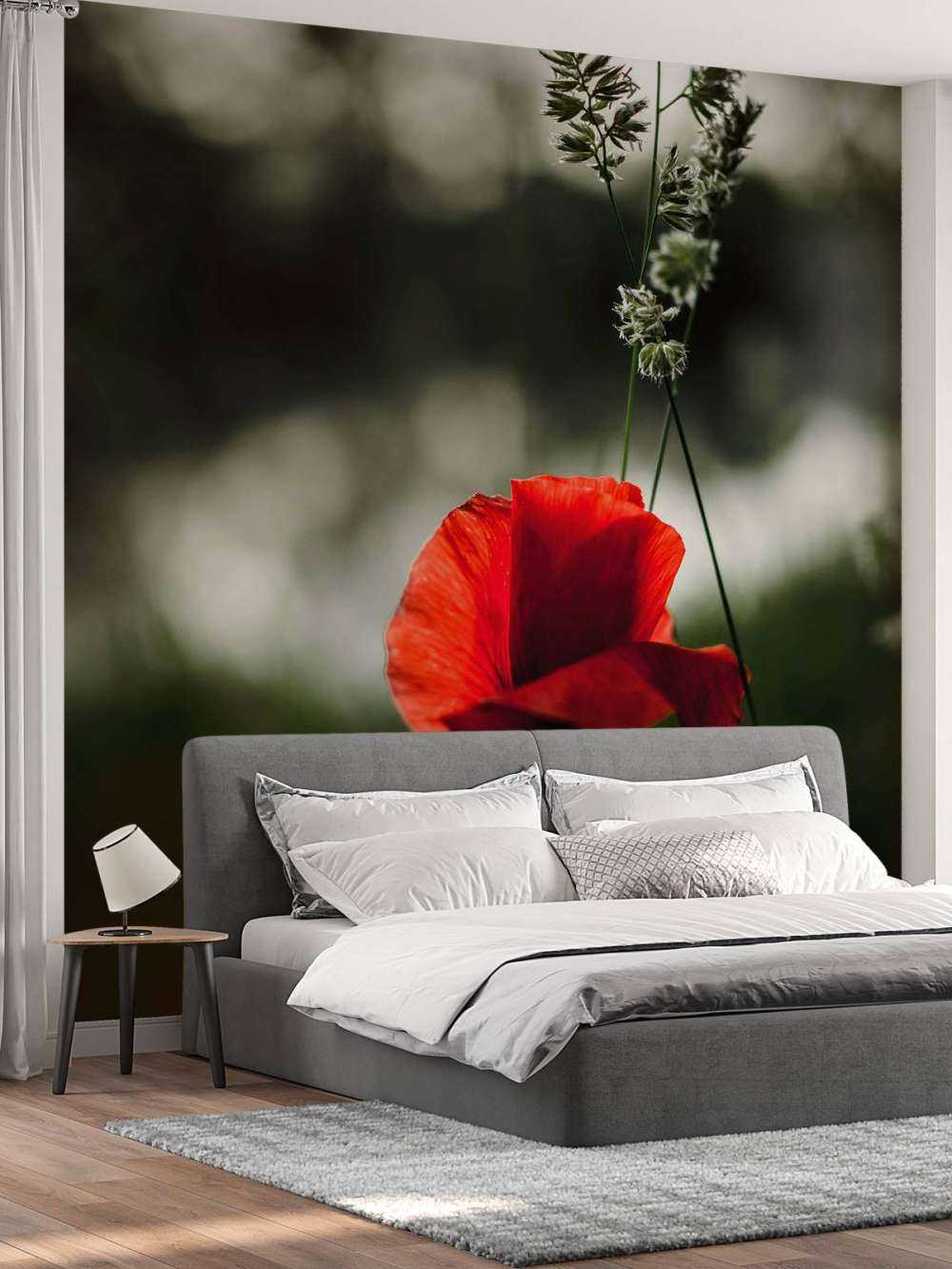 Amapola roja con hierba