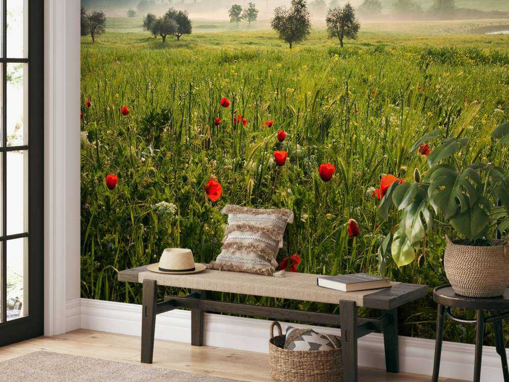 Primavera toscana