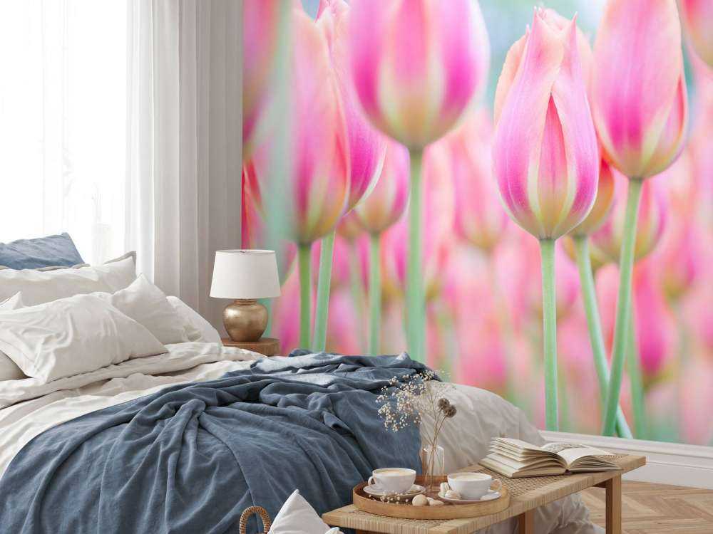 Primer plano de tulipanes rosas