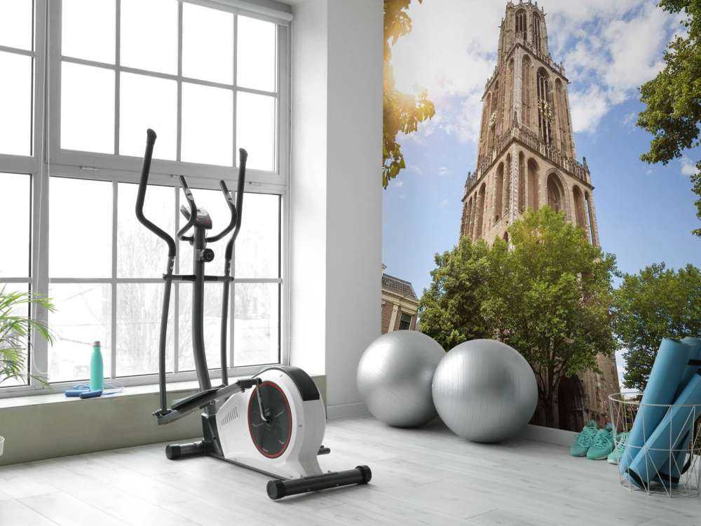 Torre Dom en Utrecht