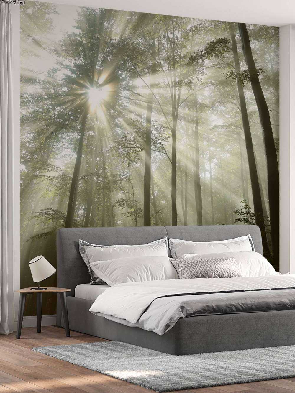 Bosque con niebla