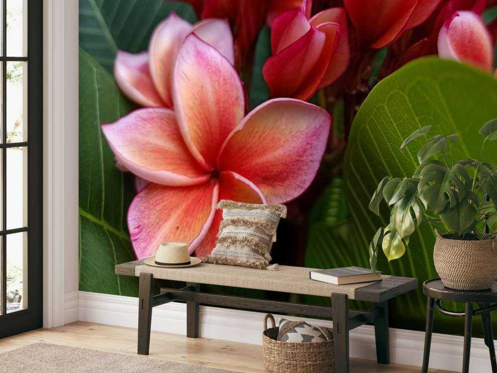 Flores tropicales