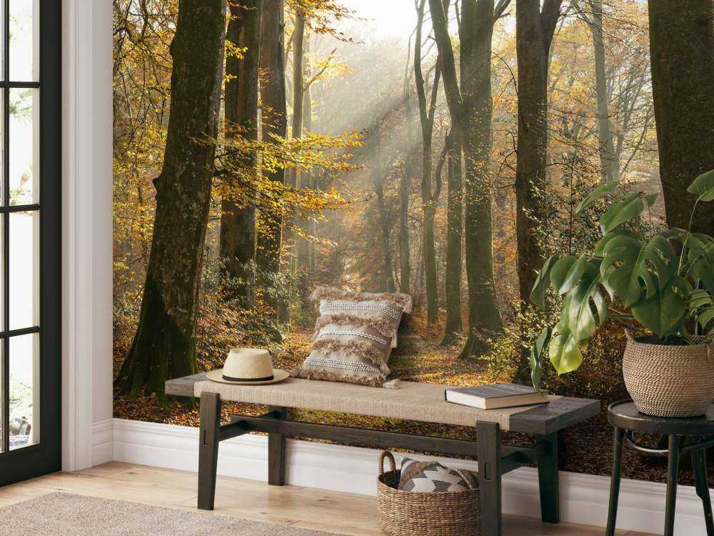 El bosque de Crécy