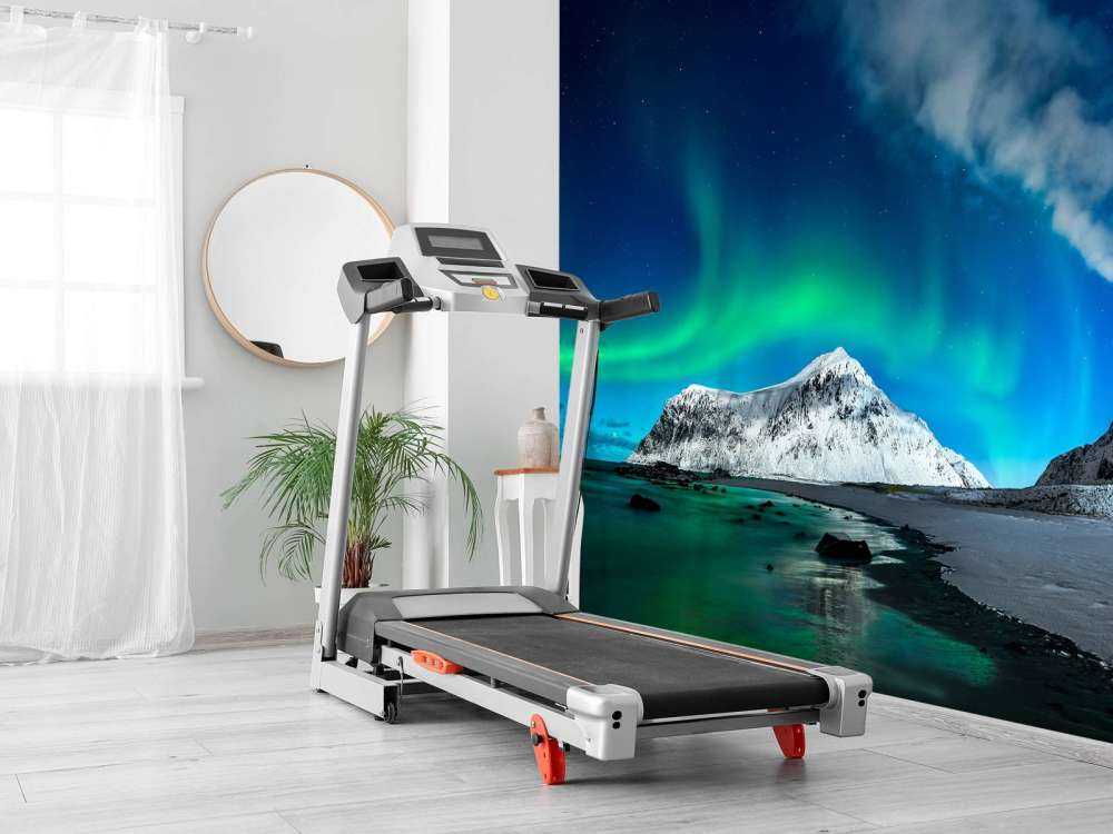 Aurora boreal sobre las montañas