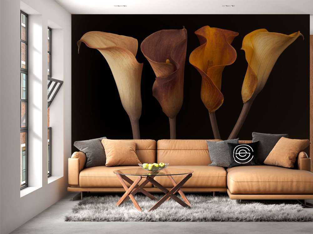 Lirios Calla