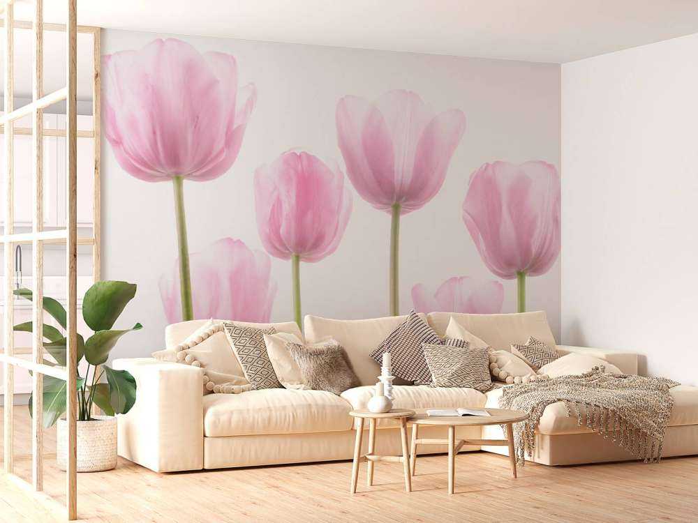 Tulipanes rosas