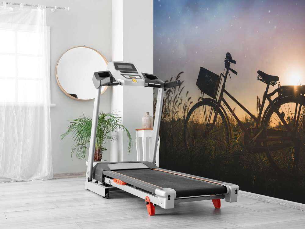 Bicicleta silueta