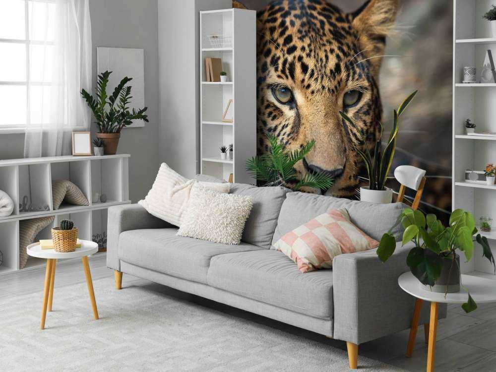 Primer plano de un leopardo