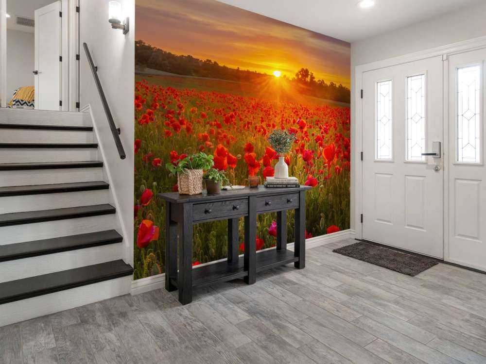 Campo de amapolas en flor