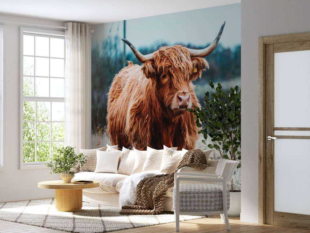 Vaca escocesa en el bosque