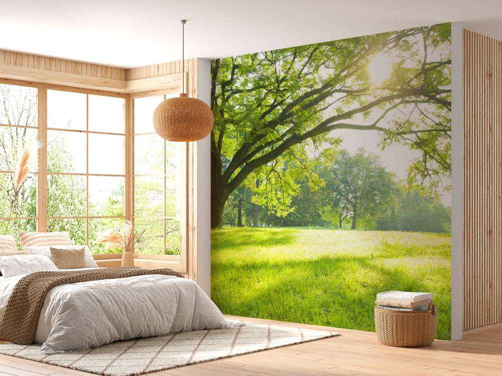 Hermoso árbol con hierba verde