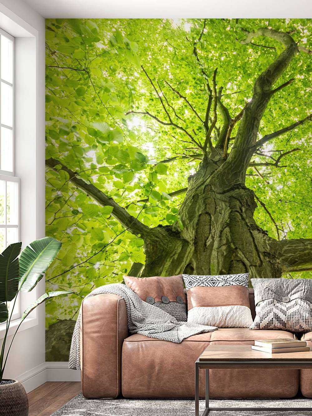Gran árbol en el bosque