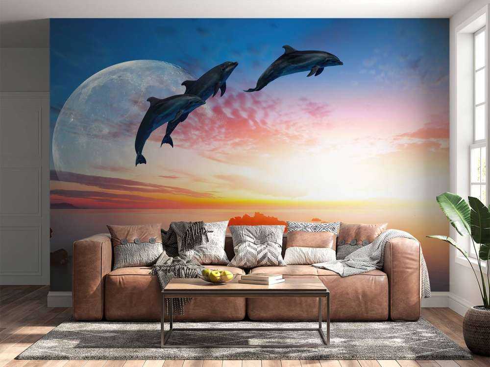 Delfines en la noche