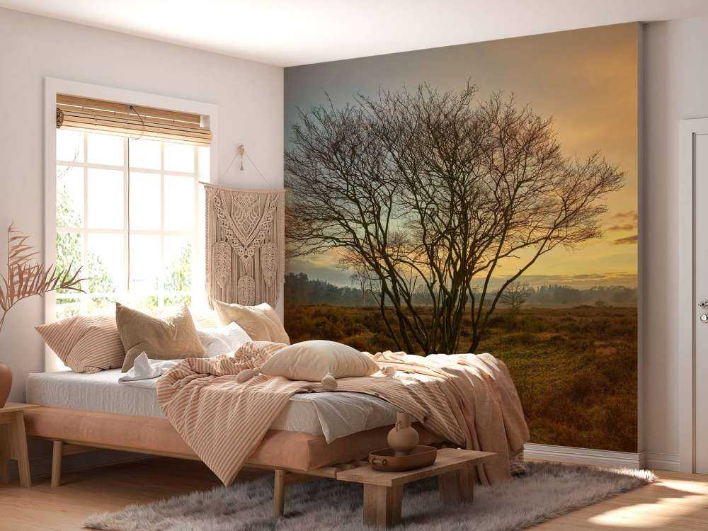 Amanecer en el páramo