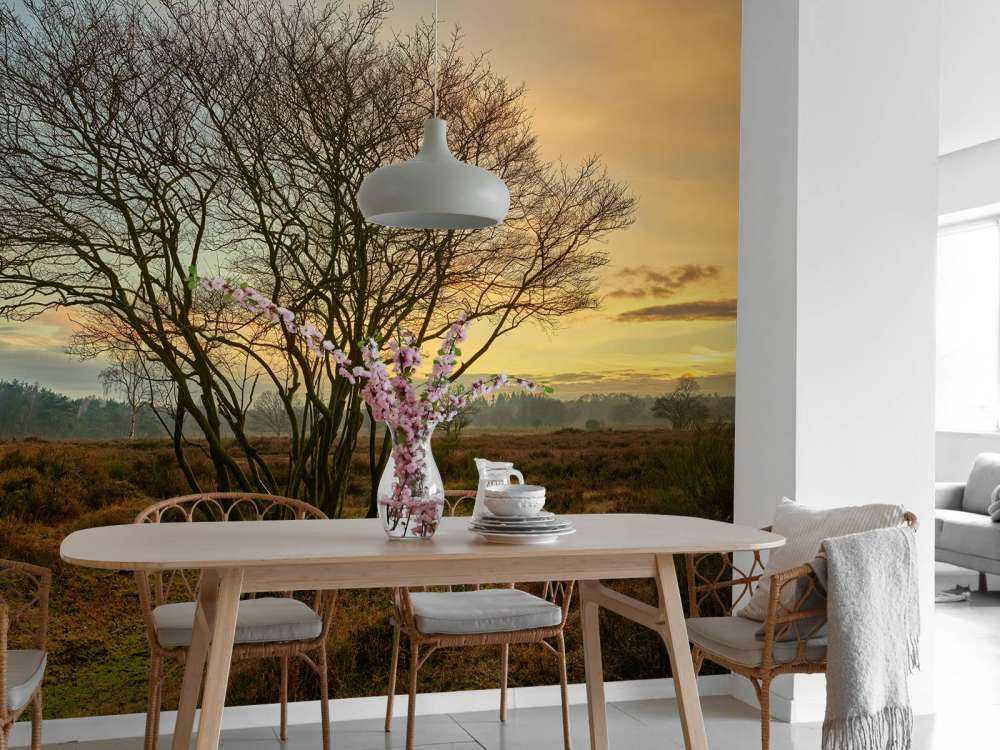 Amanecer en el páramo