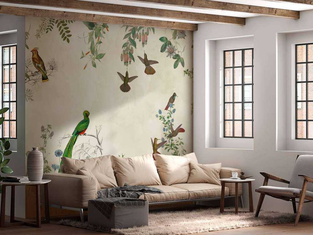 Campos de Aves Coloridas