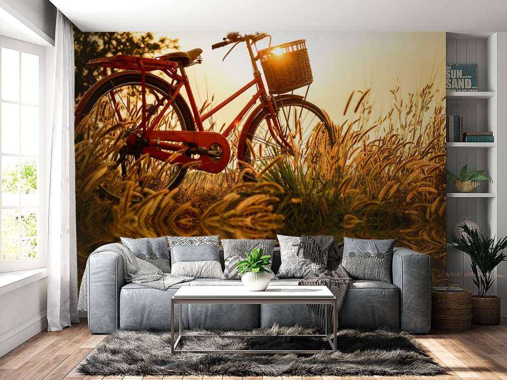 Bicicleta al atardecer