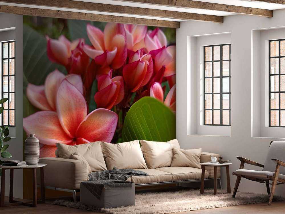 Flores tropicales