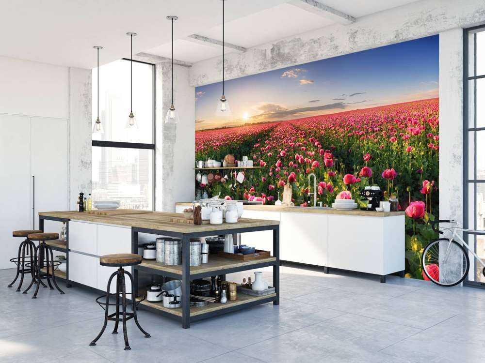 Campo de amapolas rosas