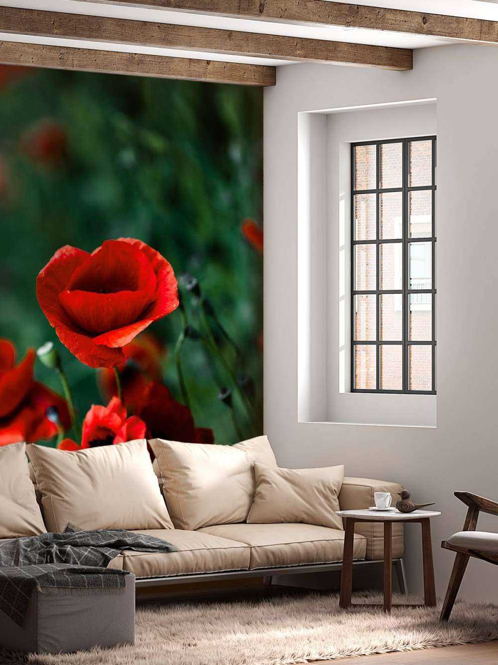 Amapolas y hierba