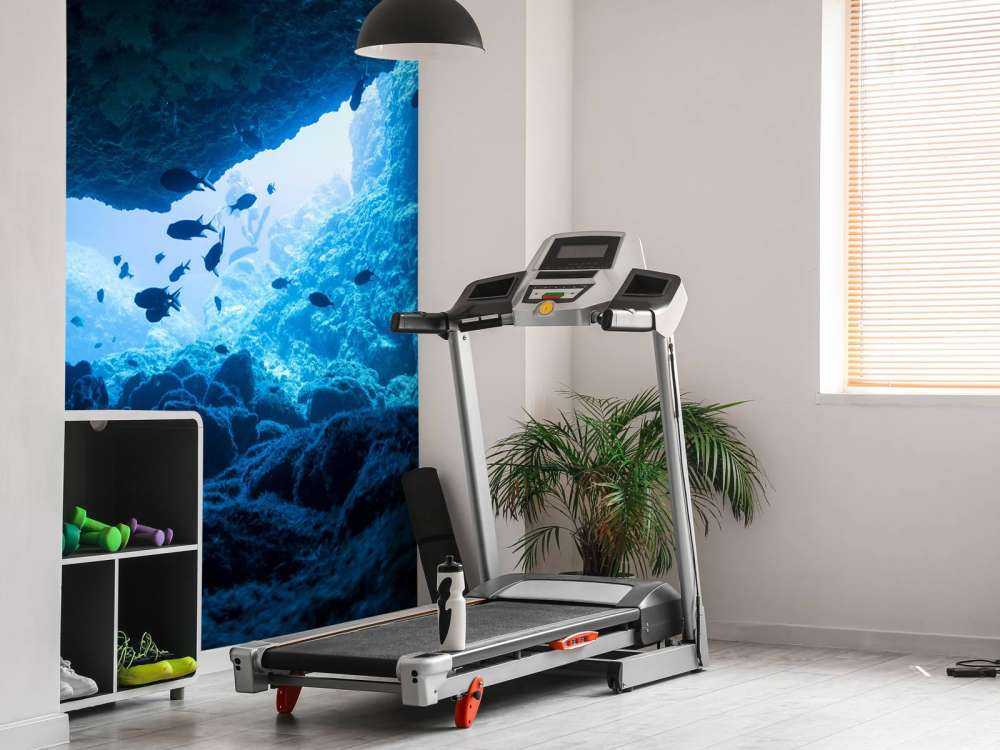 Cueva estrecha con peces