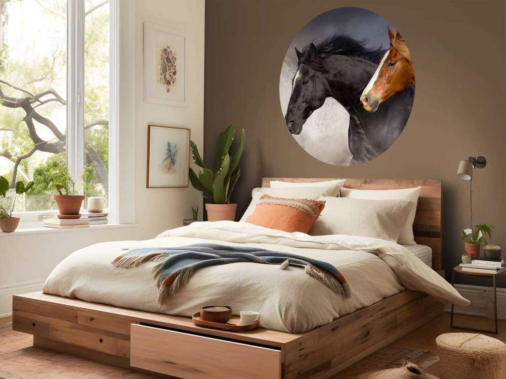 Manada de caballos