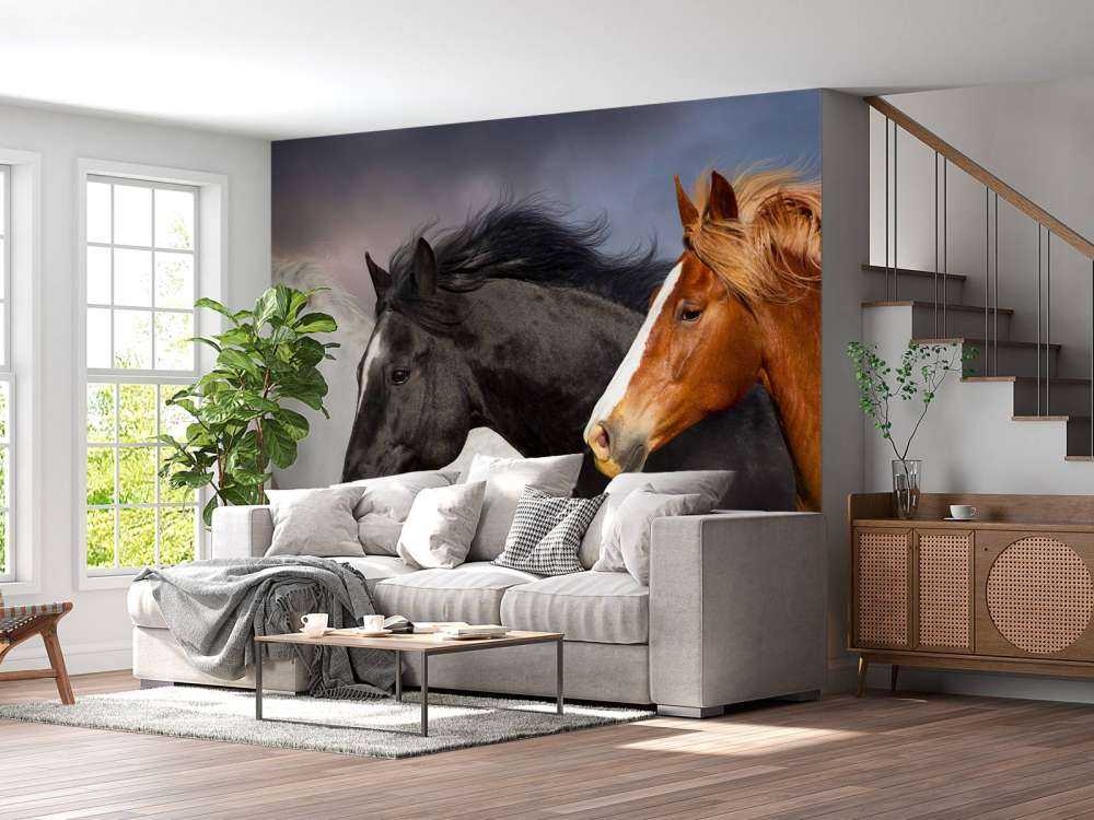Manada de caballos
