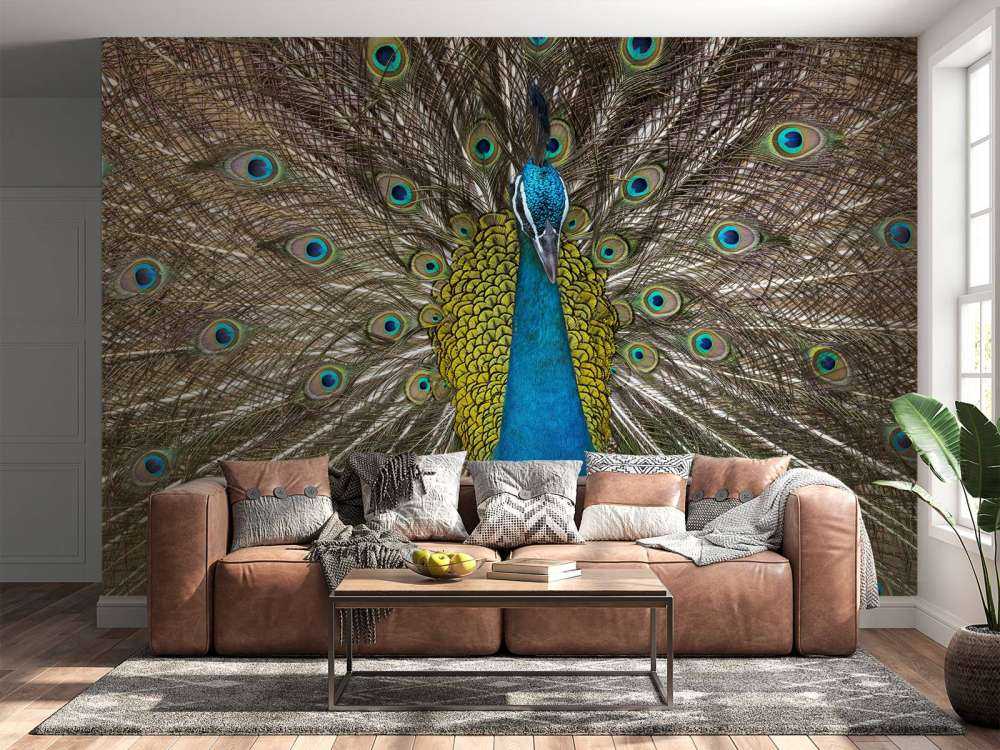 Pavo real con plumas exhibidas