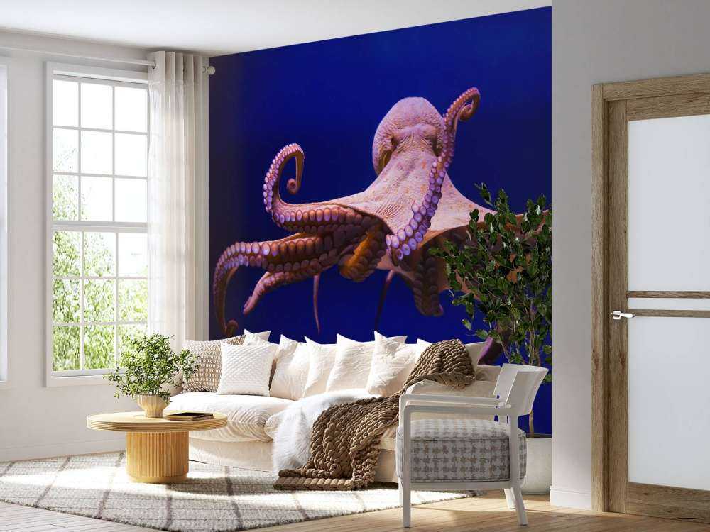 Pulpo