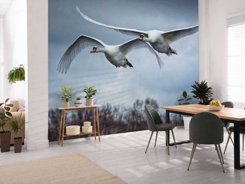 Cisnes volando