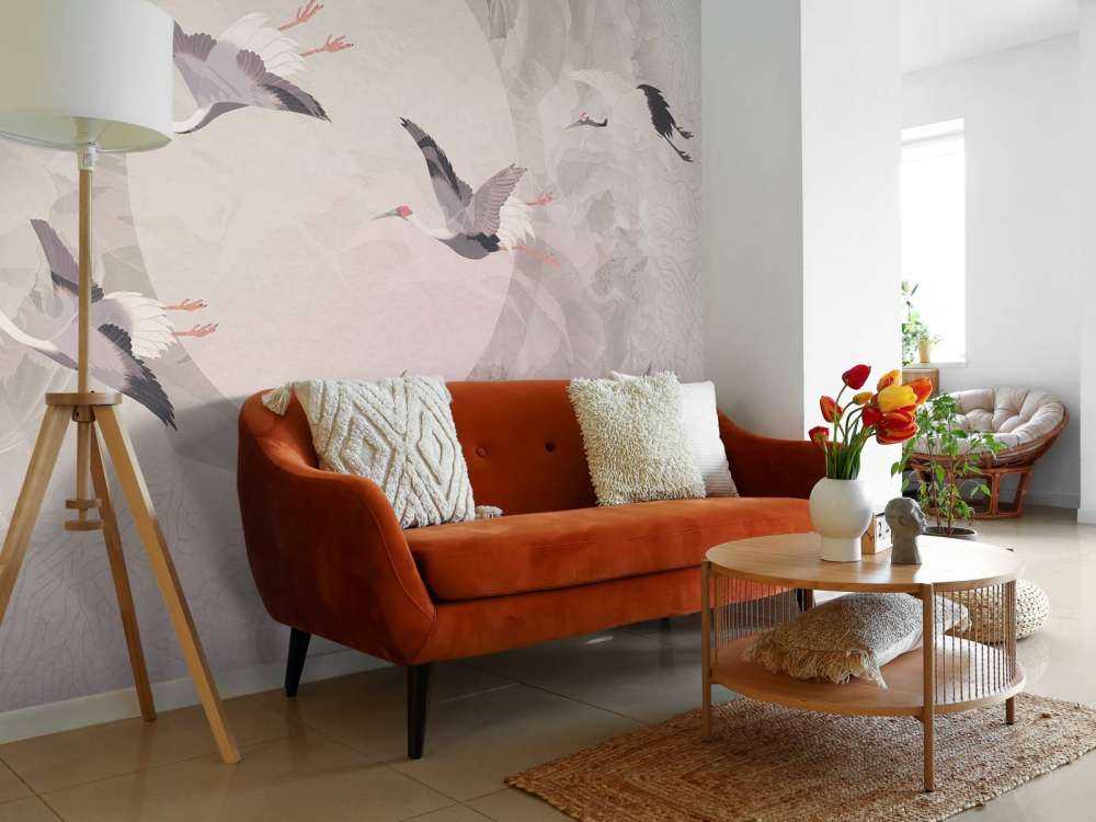 Serenity 6