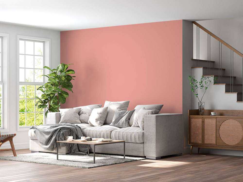 Rosa pastel