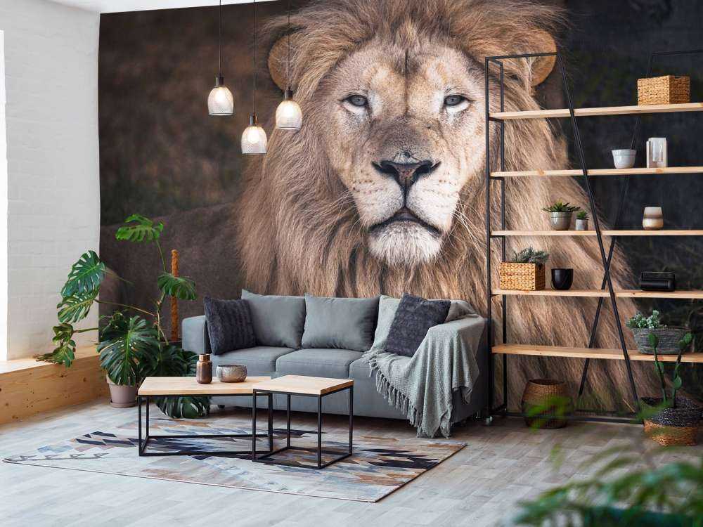 Retrato de un león