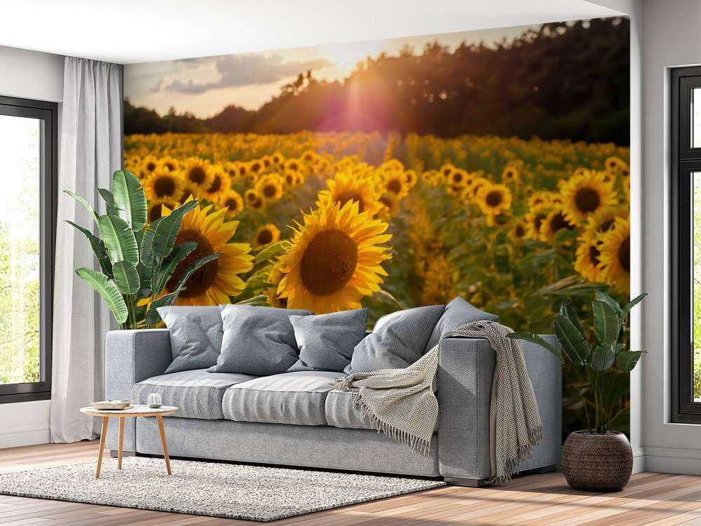 Granja de girasoles